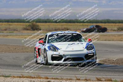 media/May-14-2022-PCA Golden Gate (Sat) [[8ae5da5886]]/Club Race/Session 2 (Cotton Corners)/